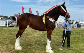 Anglesey County Show